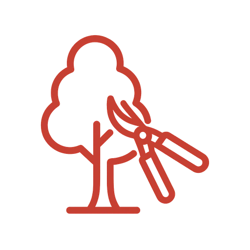 Line icon of pruning shears trimming a tree branch